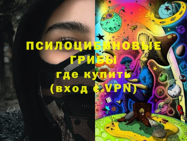 сатива Алексеевка