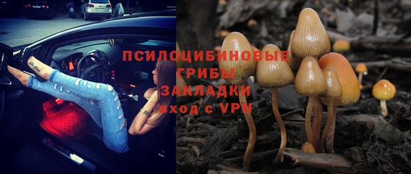 каннабис Алзамай